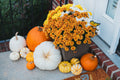 Large Mums